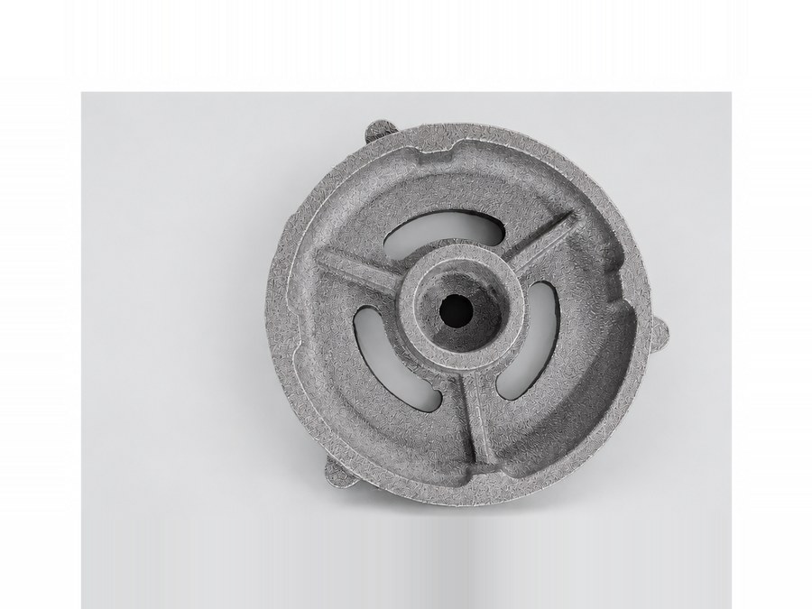 Cast pump cover, reverse face with radial ribs